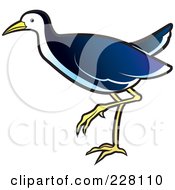 Royalty Free RF Clipart Illustration Of A Blue Water Hen 1