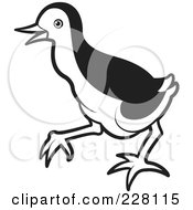 Royalty Free RF Clipart Illustration Of A Black And White Baby Water Hen 1