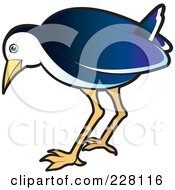 Royalty Free RF Clipart Illustration Of A Blue Water Hen 8