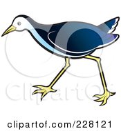 Royalty Free RF Clipart Illustration Of A Blue Water Hen 2