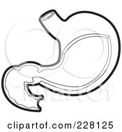Royalty Free RF Clipart Illustration Of A Coloring Page Outline Of A Stomach by Lal Perera