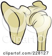 Royalty Free RF Clipart Illustration Of A Shoulder Joint by Lal Perera