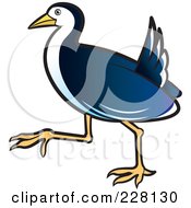 Royalty Free RF Clipart Illustration Of A Blue Water Hen 3