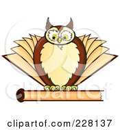 Poster, Art Print Of Chubby Owl On Top Of A Closed Book