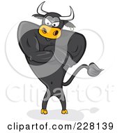 Standing Black Bull With An Attitude And Crossed Arms