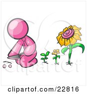 Clipart Illustration Of A Pink Man Kneeling By Growing Sunflowers To Plant Seeds In A Dirt Hole In A Garden by Leo Blanchette