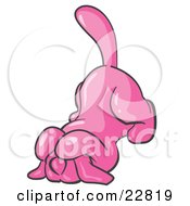 Clipart Illustration Of A Scared Pink Tick Hound Dog Covering His Head With His Front Paws