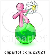 Clipart Illustration Of A Pink Man Standing On The Green Planet Earth And Holding A White Daisy Symbolizing Organics And Going Green For A Healthy Environment