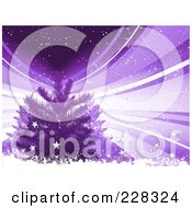 Poster, Art Print Of Purple Christmas Background Of An Evergreen Tree With Snow Grunge Stars And Rays
