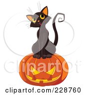 Poster, Art Print Of Cute Black Kitten With A Jackolantern - 1