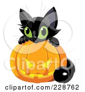 Poster, Art Print Of Cute Black Kitten With A Jackolantern - 2