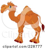 Royalty Free RF Clipart Illustration Of A Cute Camel In Profile