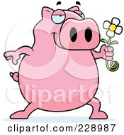 Poster, Art Print Of Pig Holding A Daisy Flower