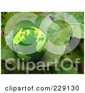 Poster, Art Print Of 3d Green Globe On A Real Green Leaf