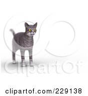 Poster, Art Print Of 3d Gray Tabby Cat