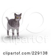 Royalty Free RF Clipart Illustration Of A 3d Gray Tabby Cat