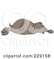 Poster, Art Print Of Tired Dog Sleeping On His Side