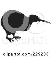 Black Kiwi Bird Silhouette