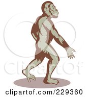 Poster, Art Print Of Ape Walking And Swinging His Arms