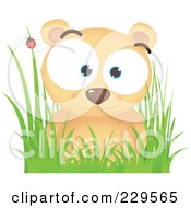 Poster, Art Print Of Cute Bear In Grass Near A Ladybug