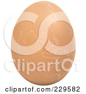 Royalty Free RF Clipart Illustration Of A Brown Egg With An Asian Map On It 3
