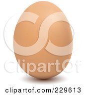 Poster, Art Print Of Brown Egg