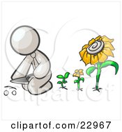White Man Kneeling By Growing Sunflowers To Plant Seeds In A Dirt Hole In A Garden