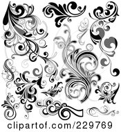 Poster, Art Print Of Digital Collage Of Black And White Flourish Designs - 1