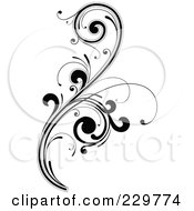 Royalty Free RF Clipart Illustration Of A Black And White Flourish Design 10 by OnFocusMedia #COLLC229774-0049