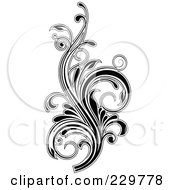 Royalty Free RF Clipart Illustration Of A Black And White Flourish Design 6