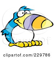 Goofy Blue Toucan With A White Belly