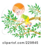 Poster, Art Print Of Boy On A Tree Branch - 2