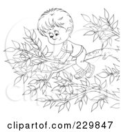 Poster, Art Print Of Coloring Page Outline Of A Boy On A Tree Branch