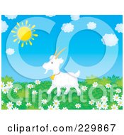 Poster, Art Print Of Goat In A Meadow Of Daisies