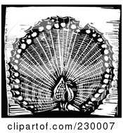 Royalty Free RF Clipart Illustration Of A Black And White Woodcut Styled Peacock With A Black Border
