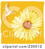 Poster, Art Print Of Wild Hummingbird Hovering Near A Sunflower Over Orange