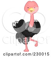 Poster, Art Print Of Cute Ostrich