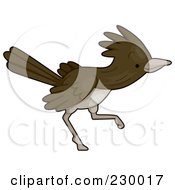 Poster, Art Print Of Cute Roadrunner Running