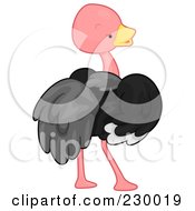 Royalty Free RF Clipart Illustration Of A Cute Ostrich Looking Back by BNP Design Studio