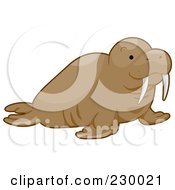 Poster, Art Print Of Happy Walrus