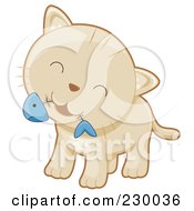 Cute Beige Kitten With A Fish Bone In His Mouth