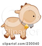 Poster, Art Print Of Cute Baby Goat Walking To The Right