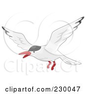 Royalty Free RF Clip Art Illustration Of A Flying Arctic Tern