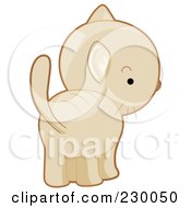 Royalty Free RF Clipart Illustration Of A Cute Beige Kitten Showing His Butt