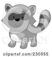 Poster, Art Print Of Cute Baby Raccoon