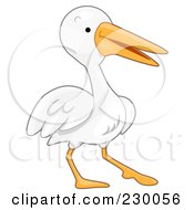 Poster, Art Print Of Cute Pelican