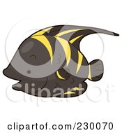 Cute Black And Yellow Angelfish