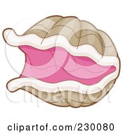 Royalty Free RF Clipart Illustration Of An Open Clam