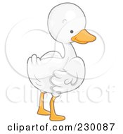 Poster, Art Print Of Cute White Goose Looking Back