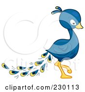 Royalty Free RF Clipart Illustration Of A Cute Peacock Walking Right